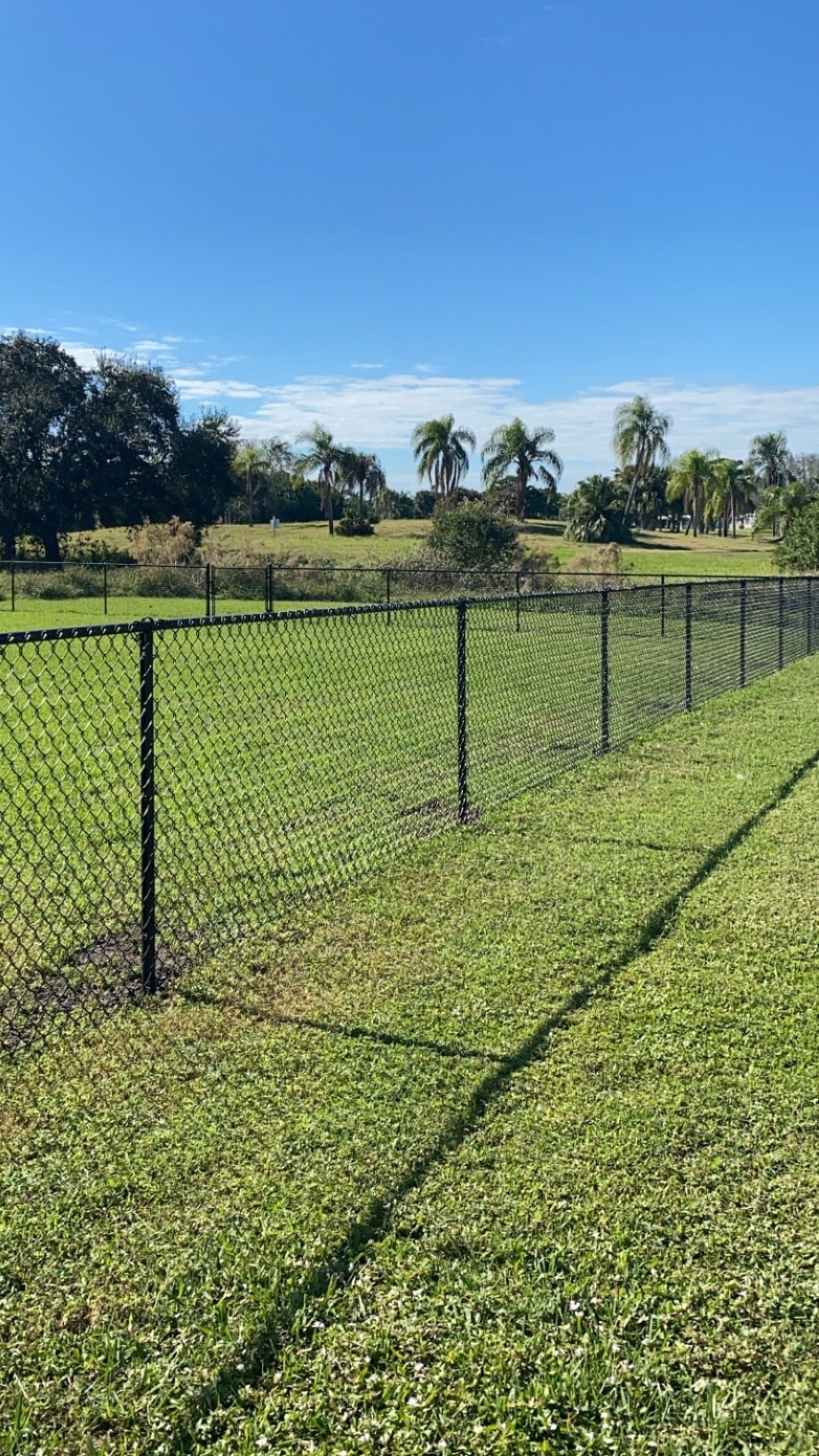 Chain Link