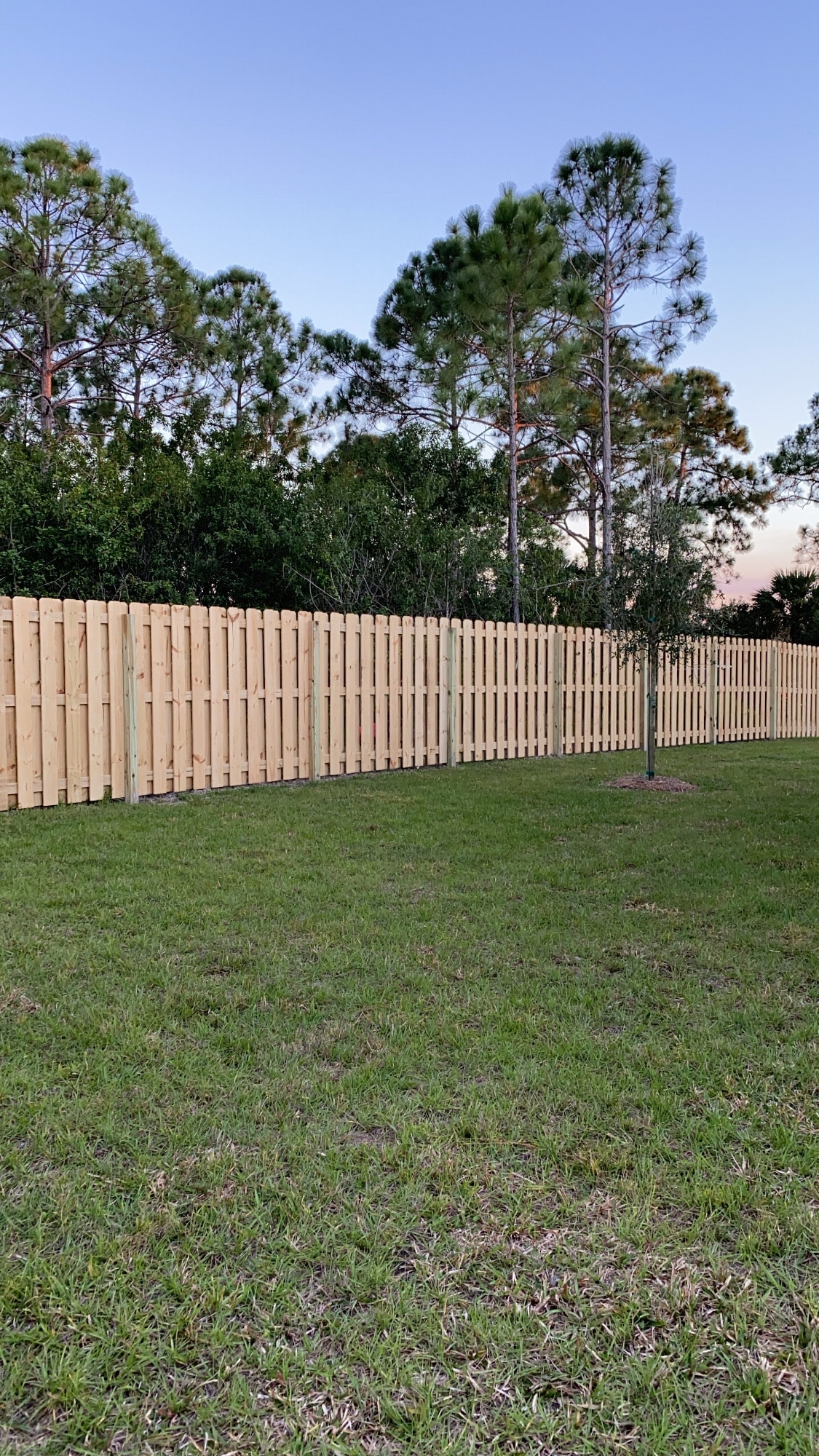 Shadowbox wood fence in Florida backyard